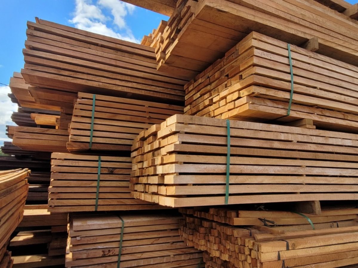 WhatsApp Image 2025-07-12 at 11.33.36