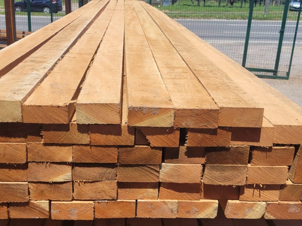 WhatsApp Image 2025-07-17 at 14.09.05