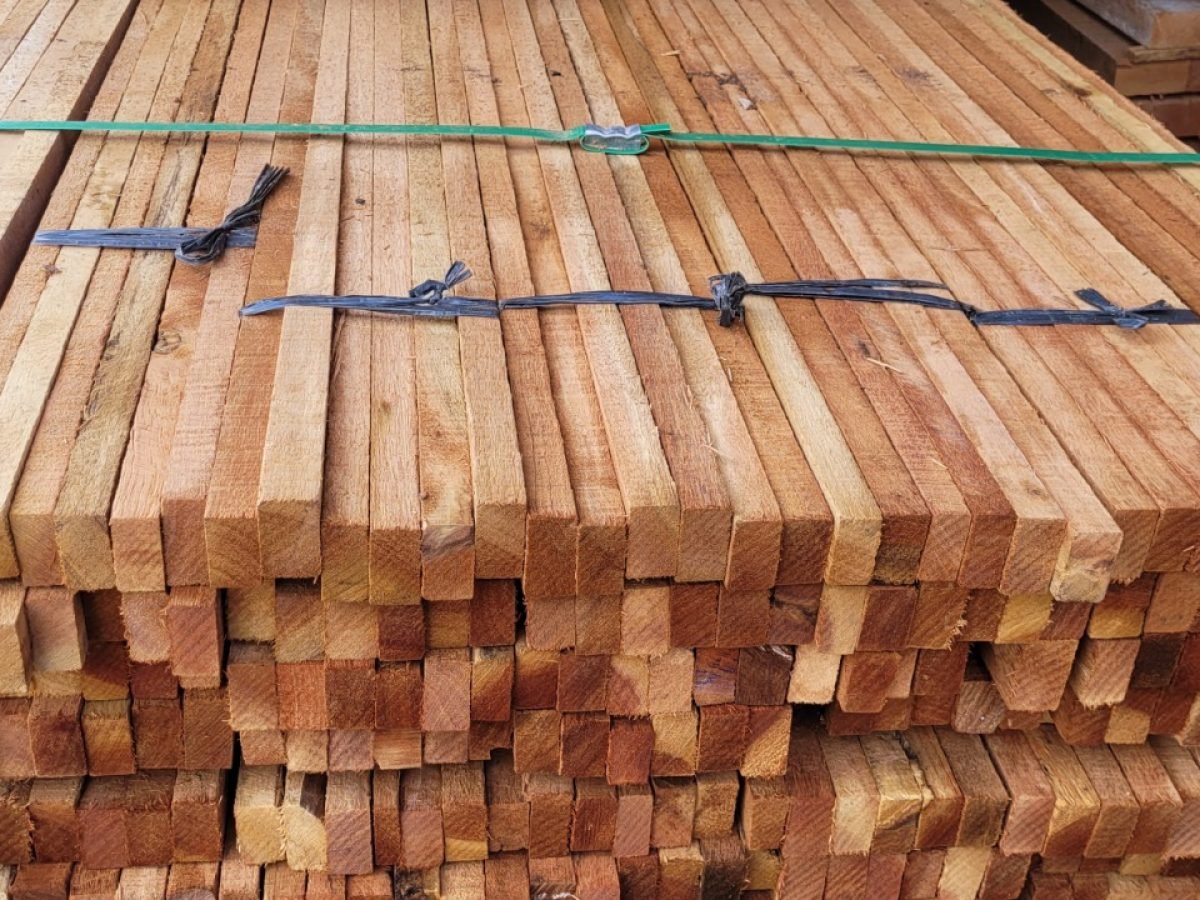 WhatsApp Image 2025-07-17 at 14.09.10