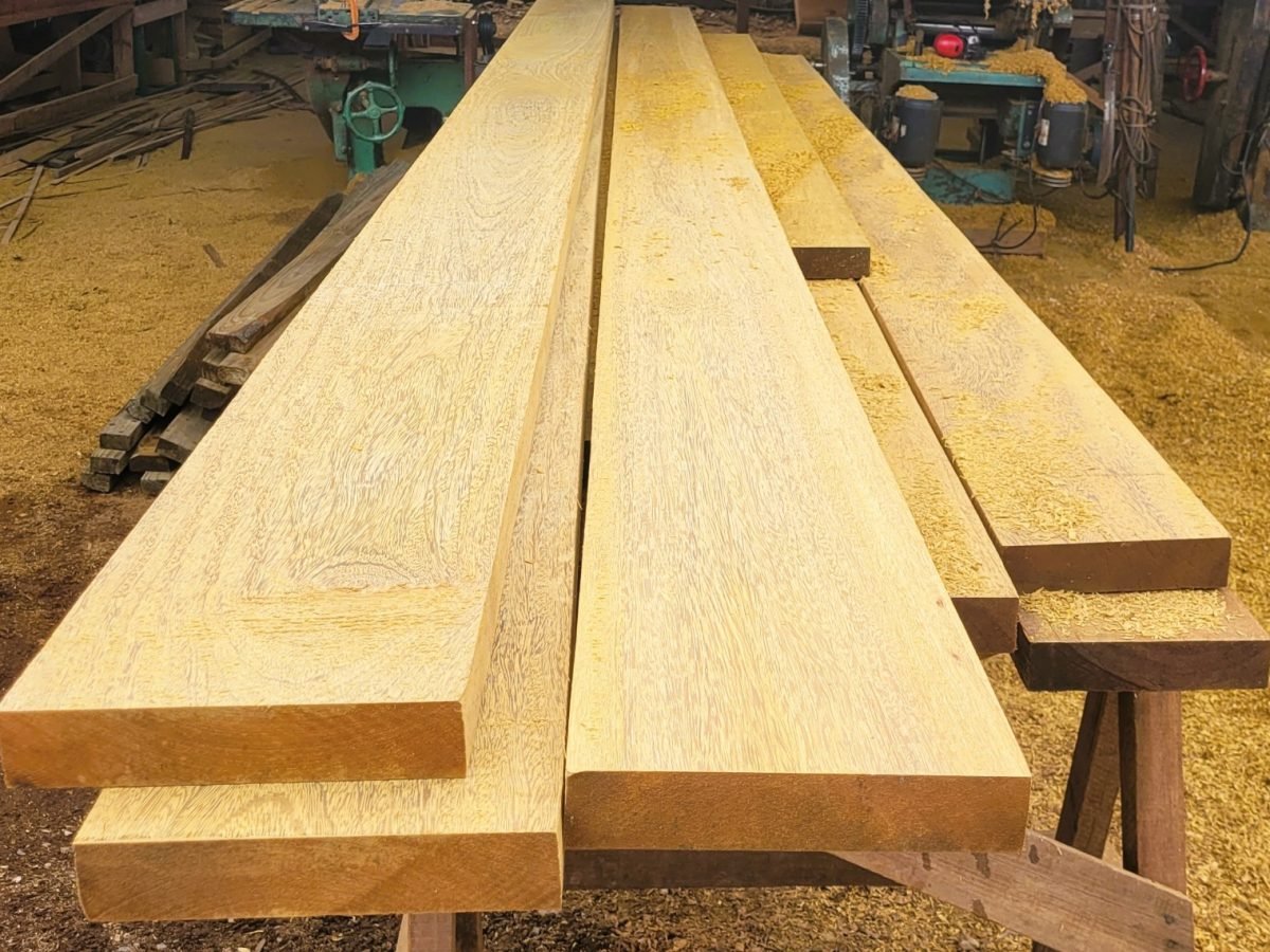 WhatsApp Image 2025-07-17 at 14.47.28