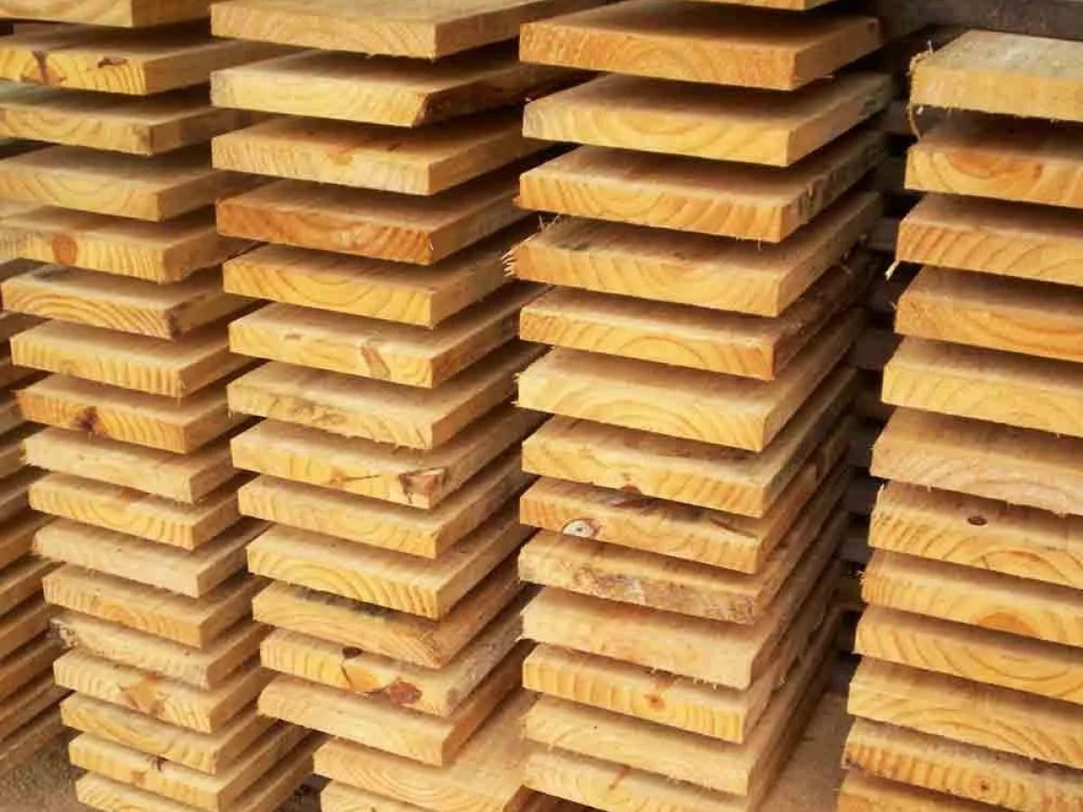 WhatsApp Image 2025-07-17 at 16.16.00