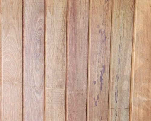 WhatsApp Image 2025-12-12 at 09.38.54