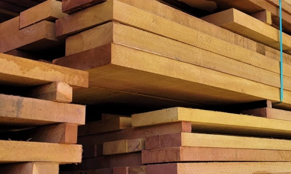 WhatsApp Image 2025-12-16 at 09.50.20