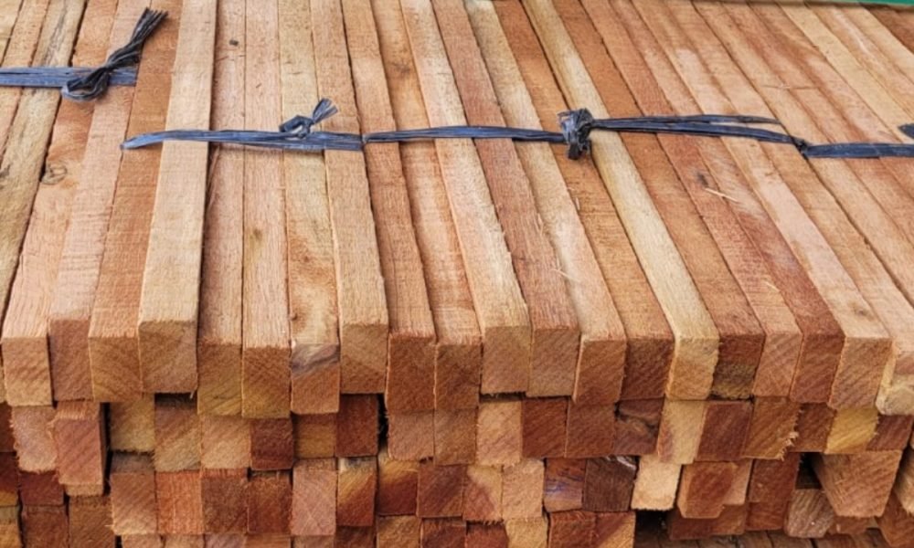 WhatsApp Image 2025-12-16 at 09.50.21 (1)