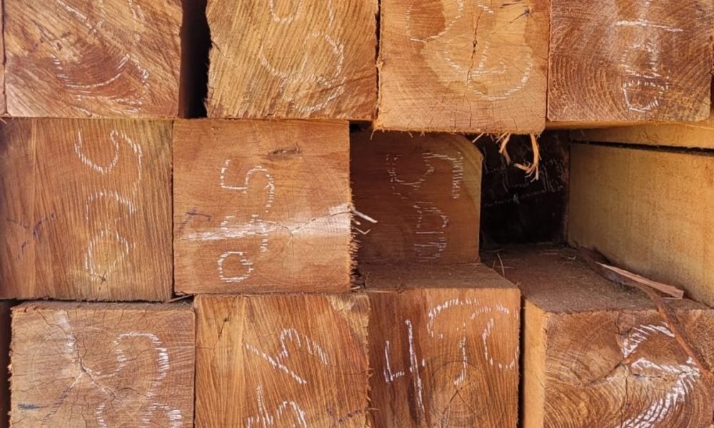 WhatsApp Image 2025-12-16 at 09.50.21 (2)