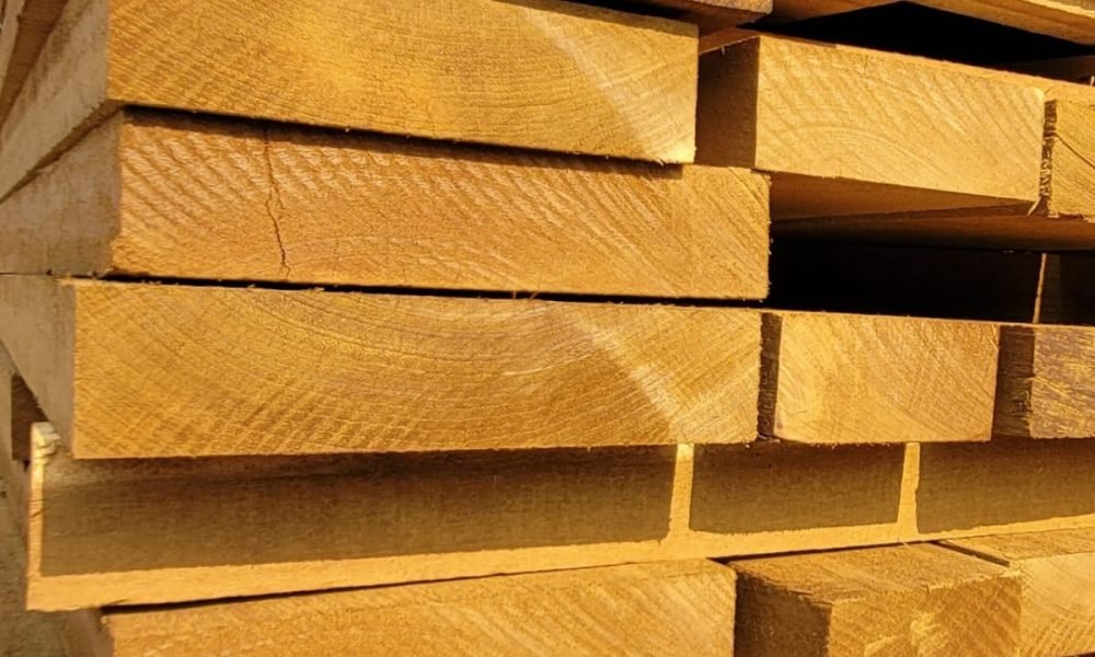 WhatsApp Image 2025-12-16 at 09.50.21